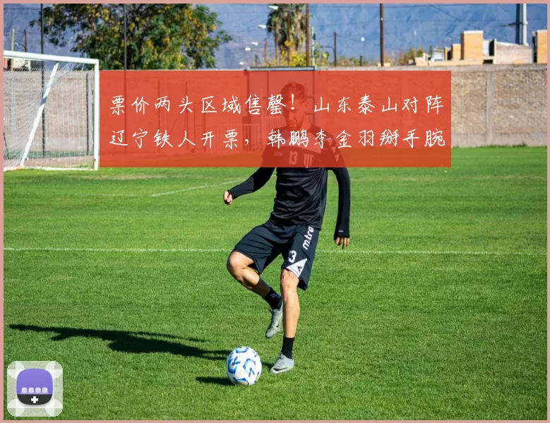 票价两头区域售罄！山东泰山对阵辽宁铁人开票，韩鹏李金羽掰手腕