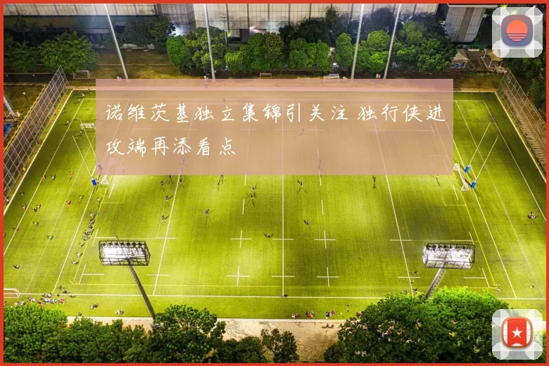 诺维茨基独立集锦引关注 独行侠进攻端再添看点