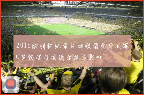 2016欧洲杯纪录片回顾葡萄牙决赛C罗伤退与埃德尔绝杀影响