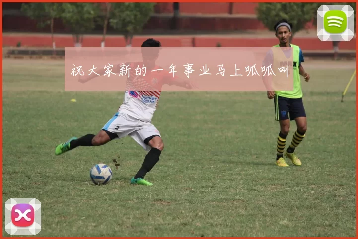 祝大家新的一年事业马上呱呱叫